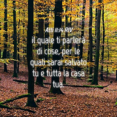 Picture 04 - Atti 11:14 RIV - il quale ti parlerà di cose, per le quali sarai - Bible Verse Picture
