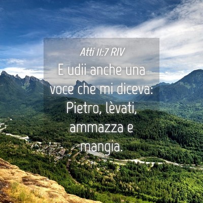 Picture 04 - Atti 11:7 RIV - E udii anche una voce che mi diceva: Pietro, - Bible Verse Picture