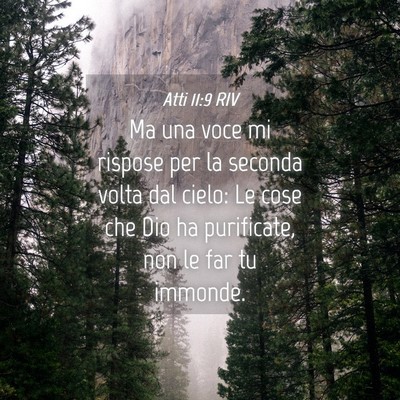 Picture 04 - Atti 11:9 RIV - Ma una voce mi rispose per la seconda volta dal - Bible Verse Picture