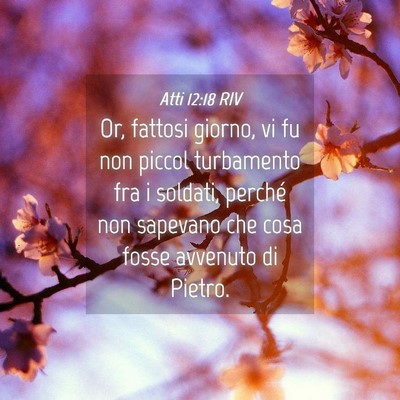 Picture 04 - Atti 12:18 RIV - Or, fattosi giorno, vi fu non piccol turbamento - Bible Verse Picture