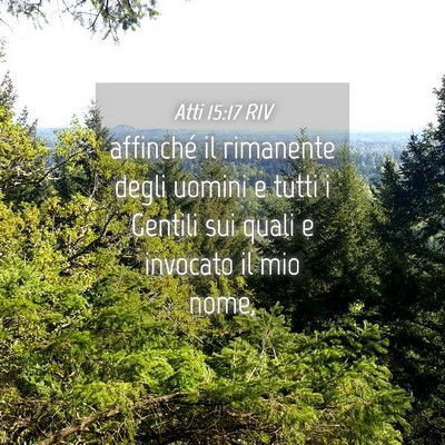 Picture 04 - Atti 15:17 RIV - affinché il rimanente degli uomini e tutti i - Bible Verse Picture
