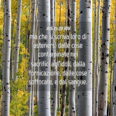 Picture 04 - Atti 15:20 RIV - ma che si scriva loro di astenersi dalle cose - Bible Verse Picture