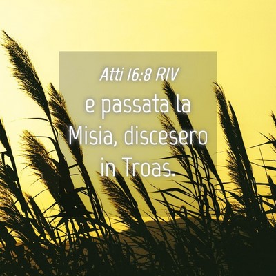 Picture 04 - Atti 16:8 RIV - e passata la Misia, discesero in - Bible Verse Picture