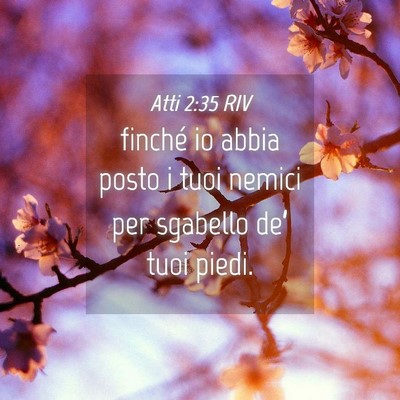 Picture 04 - Atti 2:35 RIV - finché io abbia posto i tuoi nemici per sgabello - Bible Verse Picture