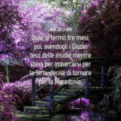 Picture 04 - Atti 20:3 RIV - Quivi si fermò tre mesi; poi, avendogli i Giudei - Bible Verse Picture