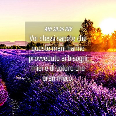 Picture 04 - Atti 20:34 RIV - Voi stessi sapete che queste mani hanno - Bible Verse Picture