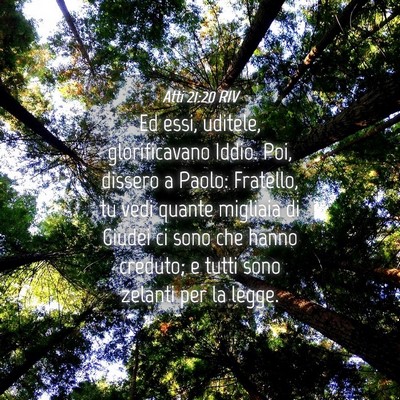 Picture 04 - Atti 21:20 RIV - Ed essi, uditele, glorificavano Iddio. Poi, - Bible Verse Picture