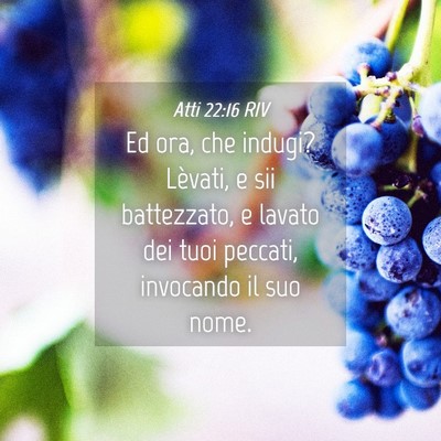 Picture 04 - Atti 22:16 RIV - Ed ora, che indugi? Lèvati, e sii battezzato, e - Bible Verse Picture
