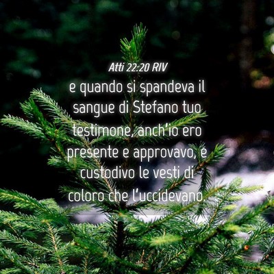 Picture 04 - Atti 22:20 RIV - e quando si spandeva il sangue di Stefano tuo - Bible Verse Picture