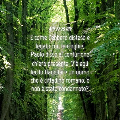 Picture 04 - Atti 22:25 RIV - E come l’ebbero disteso e legato con le - Bible Verse Picture