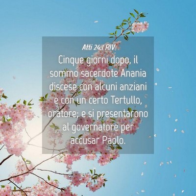 Picture 04 - Atti 24:1 RIV - Cinque giorni dopo, il sommo sacerdote Anania - Bible Verse Picture