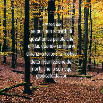 Picture 04 - Atti 24:21 RIV - se pur non si tratti di quest’unica parola che - Bible Verse Picture