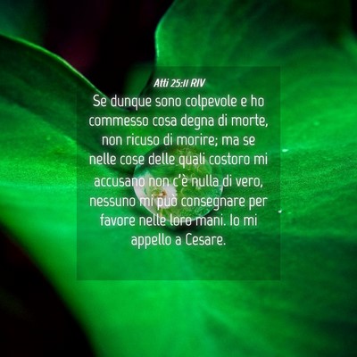 Picture 04 - Atti 25:11 RIV - Se dunque sono colpevole e ho commesso cosa degna - Bible Verse Picture