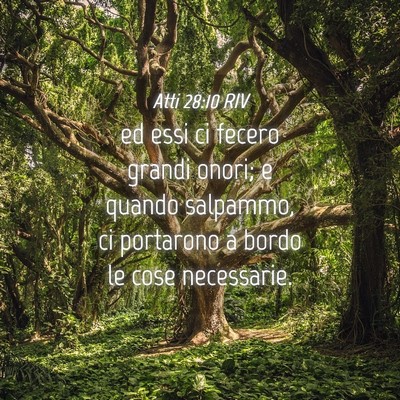 Picture 04 - Atti 28:10 RIV - ed essi ci fecero grandi onori; e quando - Bible Verse Picture