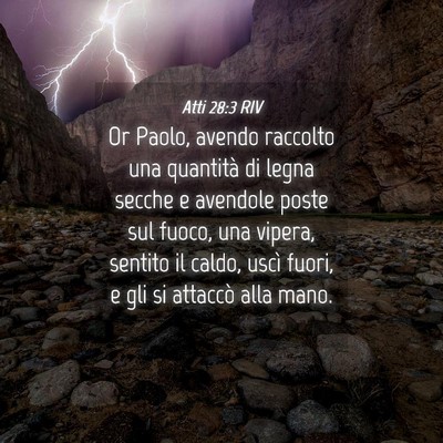 Picture 04 - Atti 28:3 RIV - Or Paolo, avendo raccolto una quantità di legna - Bible Verse Picture