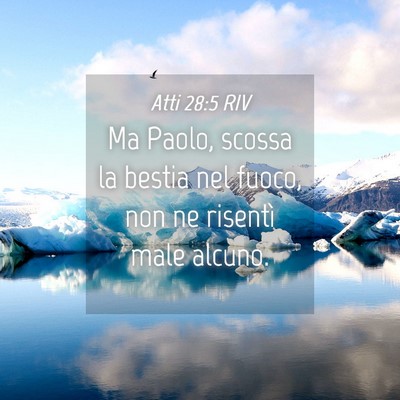 Picture 04 - Atti 28:5 RIV - Ma Paolo, scossa la bestia nel fuoco, non ne - Bible Verse Picture