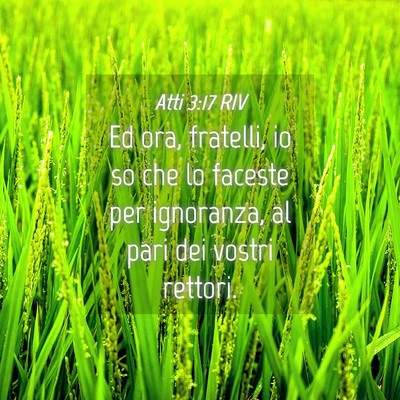 Picture 04 - Atti 3:17 RIV - Ed ora, fratelli, io so che lo faceste per - Bible Verse Picture