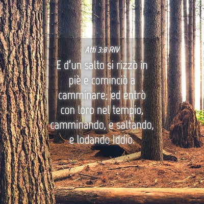 Picture 04 - Atti 3:8 RIV - E d’un salto si rizzò in piè e cominciò a - Bible Verse Picture