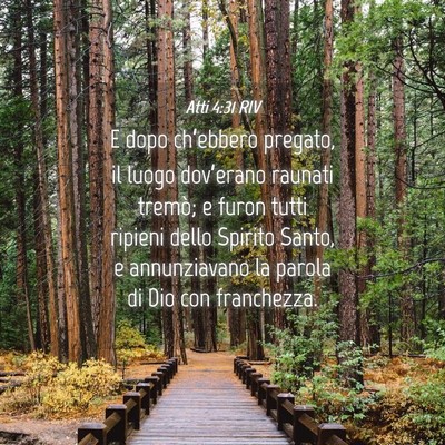 Picture 04 - Atti 4:31 RIV - E dopo ch’ebbero pregato, il luogo dov’erano - Bible Verse Picture