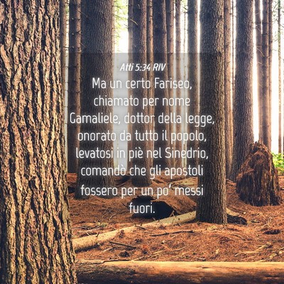 Picture 04 - Atti 5:34 RIV - Ma un certo Fariseo, chiamato per nome Gamaliele, - Bible Verse Picture