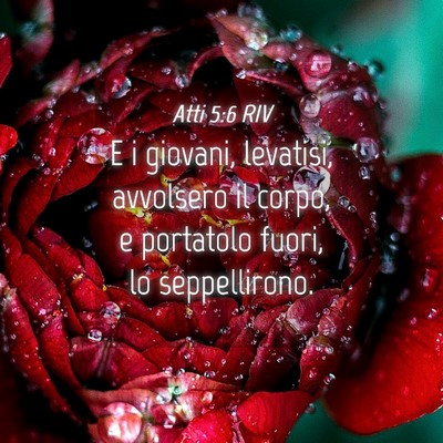 Picture 04 - Atti 5:6 RIV - E i giovani, levatisi, avvolsero il corpo, e - Bible Verse Picture