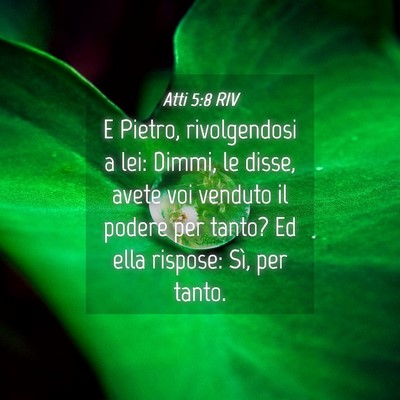 Picture 04 - Atti 5:8 RIV - E Pietro, rivolgendosi a lei: Dimmi, le disse, - Bible Verse Picture