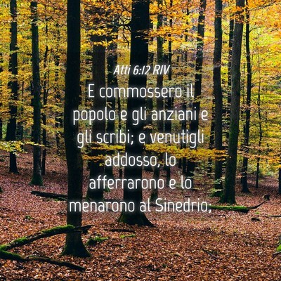 Picture 04 - Atti 6:12 RIV - E commossero il popolo e gli anziani e gli - Bible Verse Picture