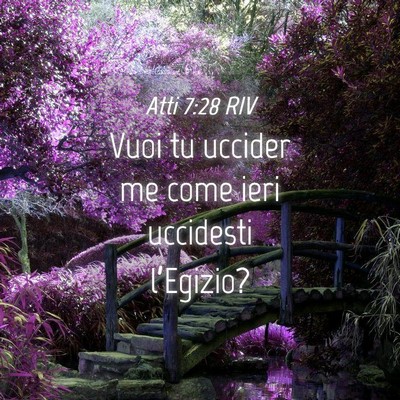 Picture 04 - Atti 7:28 RIV - Vuoi tu uccider me come ieri uccidesti - Bible Verse Picture