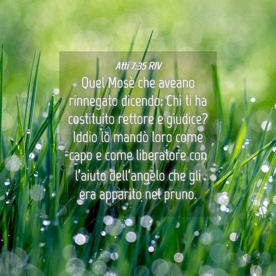 Picture 04 - Atti 7:35 RIV - Quel Mosè che aveano rinnegato dicendo: Chi ti - Bible Verse Picture