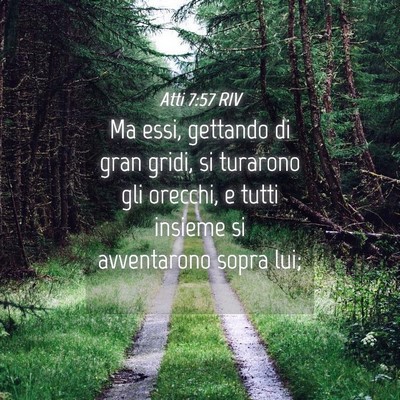 Picture 04 - Atti 7:57 RIV - Ma essi, gettando di gran gridi, si turarono gli - Bible Verse Picture