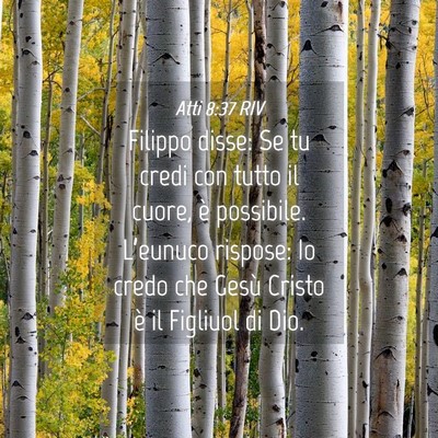 Picture 04 - Atti 8:37 RIV - Filippo disse: Se tu credi con tutto il cuore, è - Bible Verse Picture