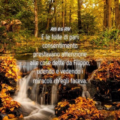 Picture 04 - Atti 8:6 RIV - E le folle di pari consentimento prestavano - Bible Verse Picture