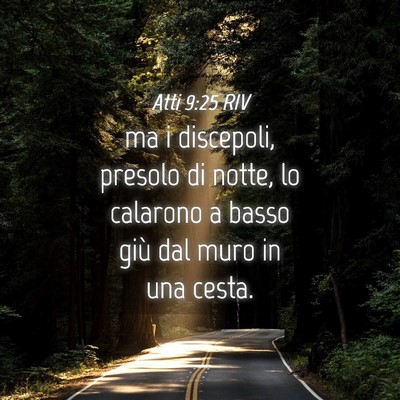 Picture 04 - Atti 9:25 RIV - ma i discepoli, presolo di notte, lo calarono a - Bible Verse Picture