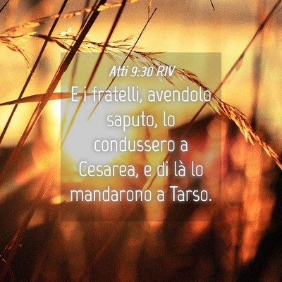 Picture 04 - Atti 9:30 RIV - E i fratelli, avendolo saputo, lo condussero a - Bible Verse Picture
