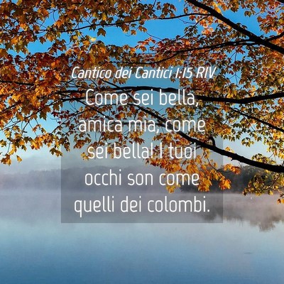 Picture 04 - Cantico dei Cantici 1:15 RIV - Come sei bella, amica mia, come sei bella! I tuoi - Bible Verse Picture