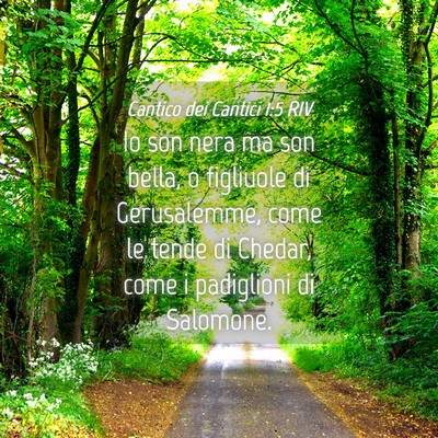 Picture 04 - Cantico dei Cantici 1:5 RIV - Io son nera ma son bella, o figliuole di - Bible Verse Picture