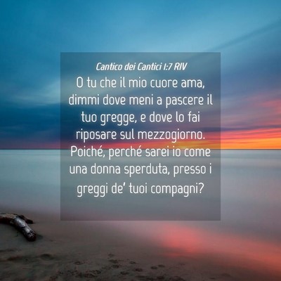 Picture 04 - Cantico dei Cantici 1:7 RIV - O tu che il mio cuore ama, dimmi dove meni a - Bible Verse Picture