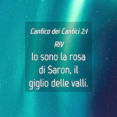 Picture 04 - Cantico dei Cantici 2:1 RIV - Io sono la rosa di Saron, il giglio delle - Bible Verse Picture