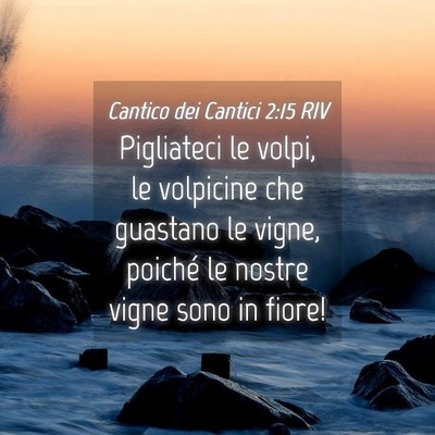 Picture 04 - Cantico dei Cantici 2:15 RIV - Pigliateci le volpi, le volpicine che guastano le - Bible Verse Picture