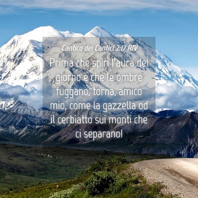 Picture 04 - Cantico dei Cantici 2:17 RIV - Prima che spiri l’aura del giorno e che le - Bible Verse Picture