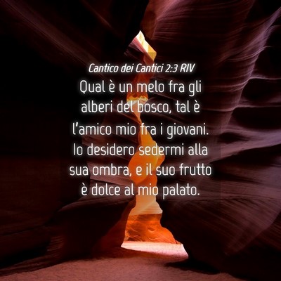 Picture 04 - Cantico dei Cantici 2:3 RIV - Qual è un melo fra gli alberi del bosco, tal è - Bible Verse Picture