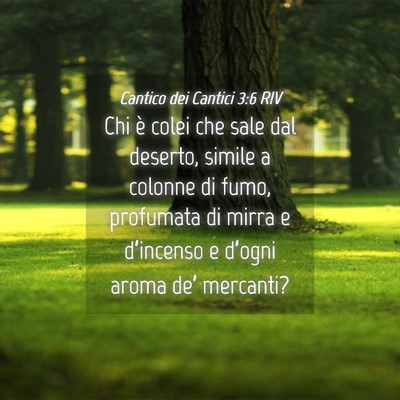 Picture 04 - Cantico dei Cantici 3:6 RIV - Chi è colei che sale dal deserto, simile a - Bible Verse Picture
