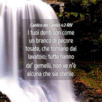 Picture 04 - Cantico dei Cantici 4:2 RIV - I tuoi denti son come un branco di pecore tosate, - Bible Verse Picture