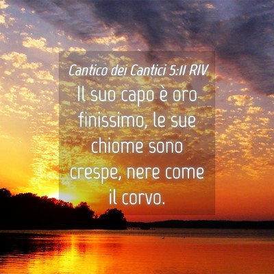 Picture 04 - Cantico dei Cantici 5:11 RIV - Il suo capo è oro finissimo, le sue chiome sono - Bible Verse Picture