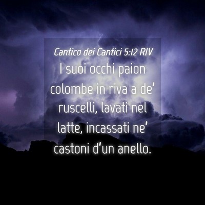 Picture 04 - Cantico dei Cantici 5:12 RIV - I suoi occhi paion colombe in riva a de’ - Bible Verse Picture