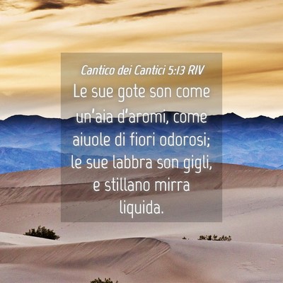 Picture 04 - Cantico dei Cantici 5:13 RIV - Le sue gote son come un’aia d’aromi, come - Bible Verse Picture