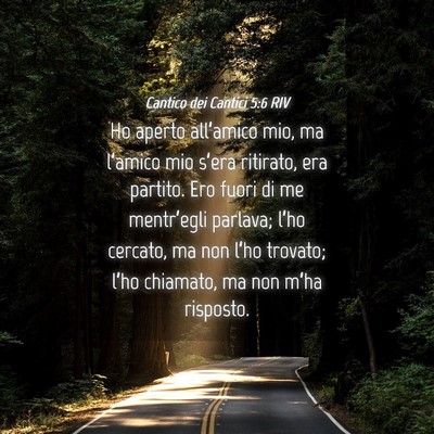 Picture 04 - Cantico dei Cantici 5:6 RIV - Ho aperto all’amico mio, ma l’amico mio - Bible Verse Picture