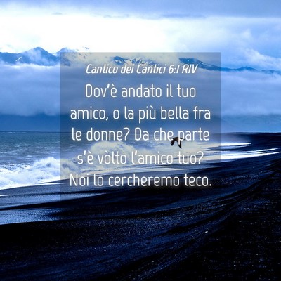 Picture 04 - Cantico dei Cantici 6:1 RIV - Dov’è andato il tuo amico, o la più bella fra - Bible Verse Picture