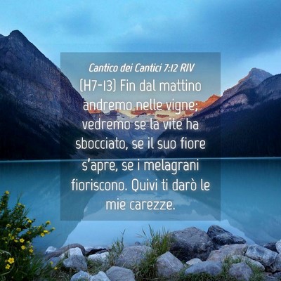 Picture 04 - Cantico dei Cantici 7:12 RIV - (H7-13) Fin dal mattino andremo nelle vigne; - Bible Verse Picture