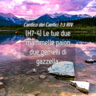 Picture 04 - Cantico dei Cantici 7:3 RIV - (H7-4) Le tue due mammelle paion due gemelli di - Bible Verse Picture